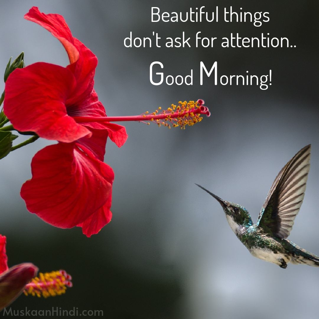 Good Morning Quotes Best 50+ Wishes With Images