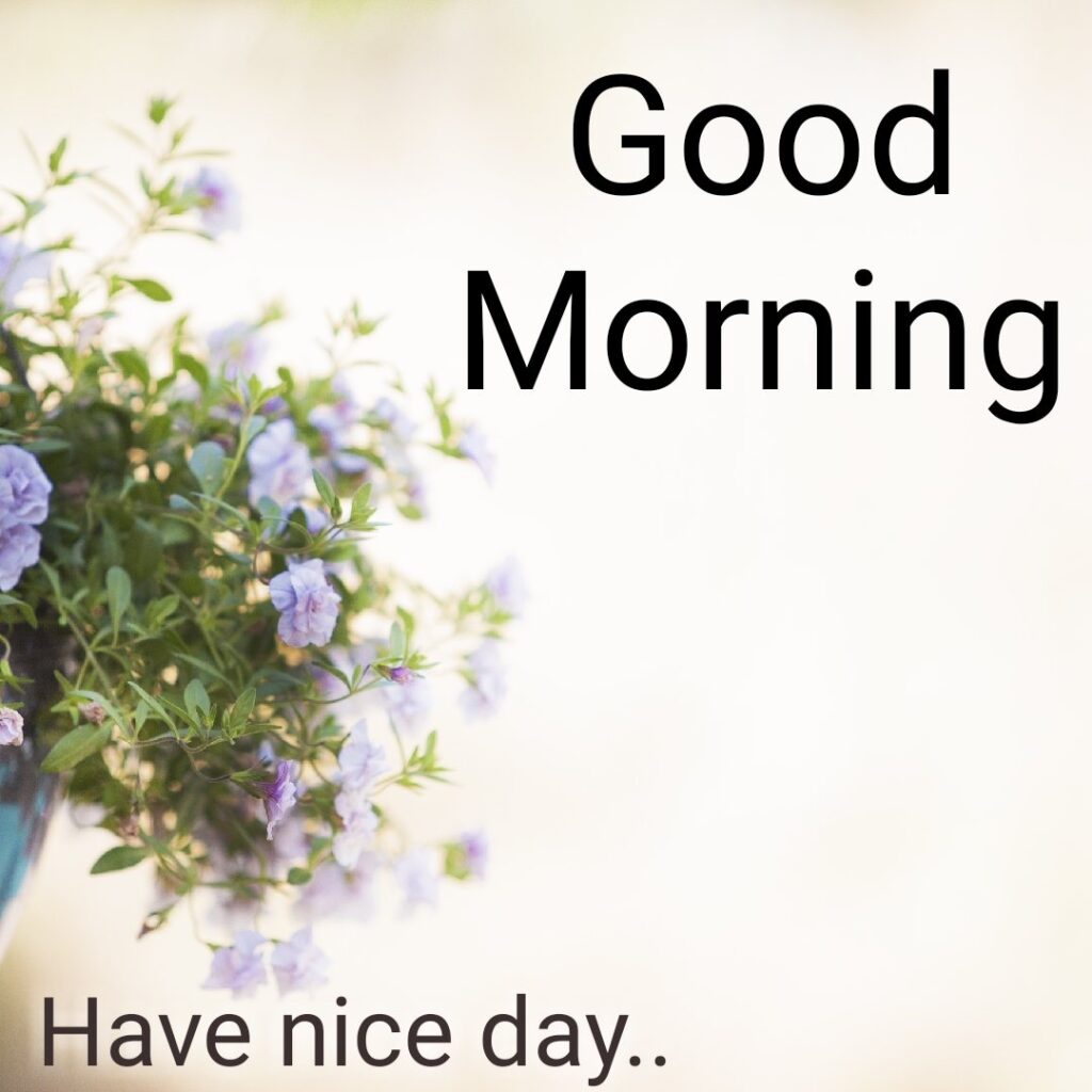 Nice Day Morning wish