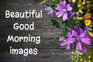 Beautiful Good Morning Images Thumbnail