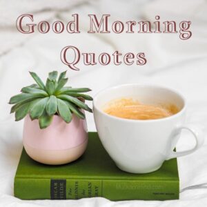 Good Morning Quotes Thumbnail