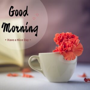 Refreshing Simple Good Morning Images