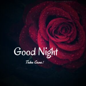 good night images rose flower