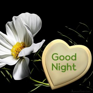 love good night images