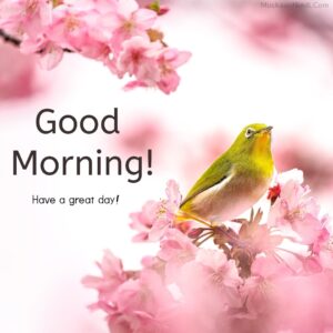 Beautiful Yellow Bird Good Morning Images
