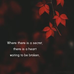 Broken Heart Dark Secret Quotes