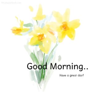 Yellow beautiful flower good morning wish