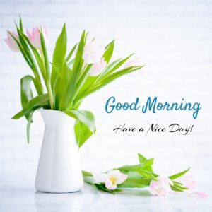 Good Morning Wish Flower Pot Images