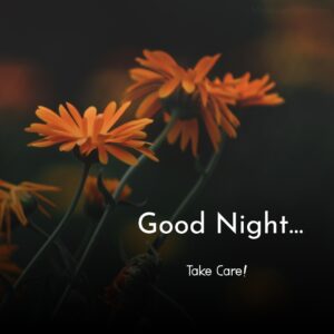 Simple Orange Flower Good Night Images Wishings