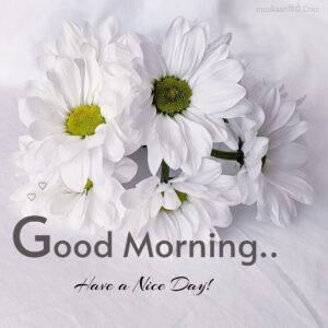 White Beautiful Flower Bunch Lovely Morning Wish