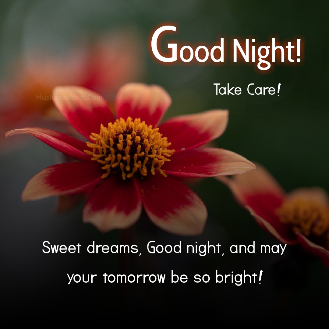 Best Good Night God Images Photos Wallpapers Free Download