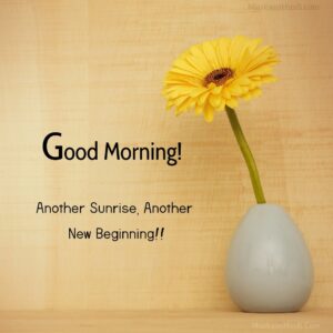Good Morning Quotes Sunrise New Beginning