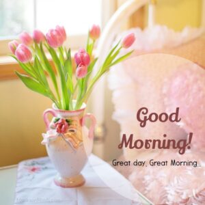 beautiful flower pot with pink flowers morning pic