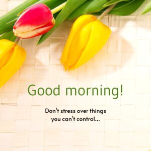 Good Morning Quotes short images