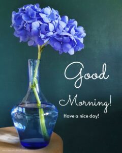 blue paper flower good morning images