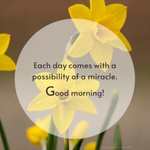 life miracles positive good morning quotes images
