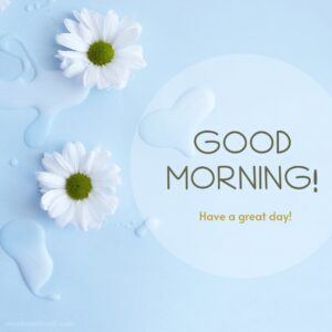 Good Morning Fresh Morning Splash Flowers images