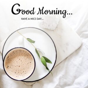 Fresh Morning with A Cup of Coffee Good Day Wish