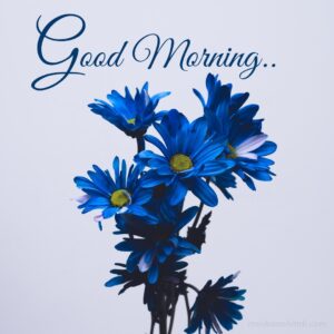 dark blue flower images good morning wish