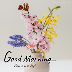 beautiful flowers pot morning wish