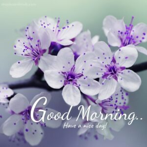 Good morning purple dots white flowers images wish