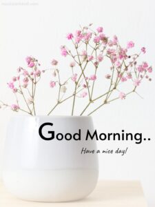 good morning white pot pink tiny flowers image wish
