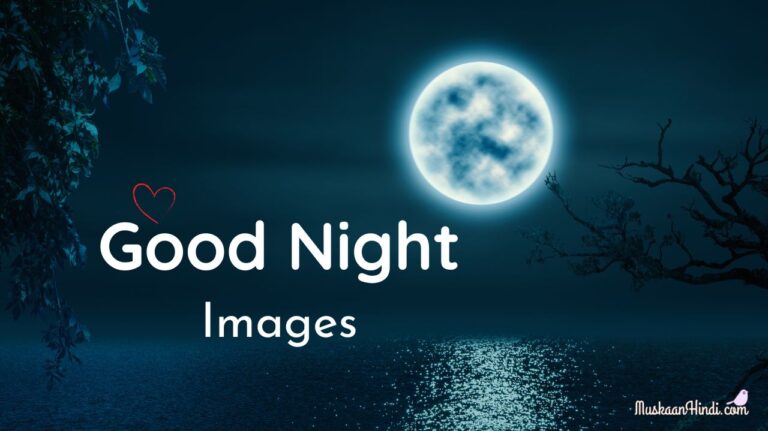Best 50+ Beautiful Good Night Images, Pics & Photos