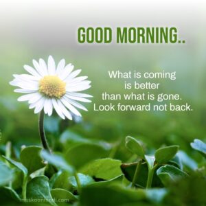 good morning greenary quotes images