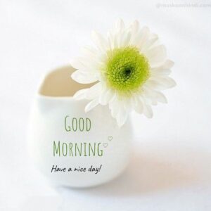 beautiful flower white bowl morning wish pic