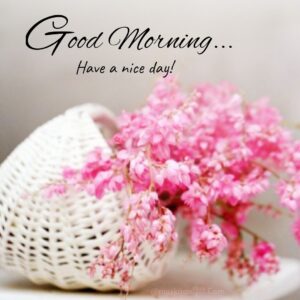 beautiful morning images pic pink flowers