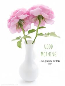 beautiful pink flowers in vase morning pic wish