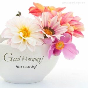 eautiful flowers in bowl morning wish pic