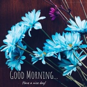 beautiful blue flowers good morning wish pic images